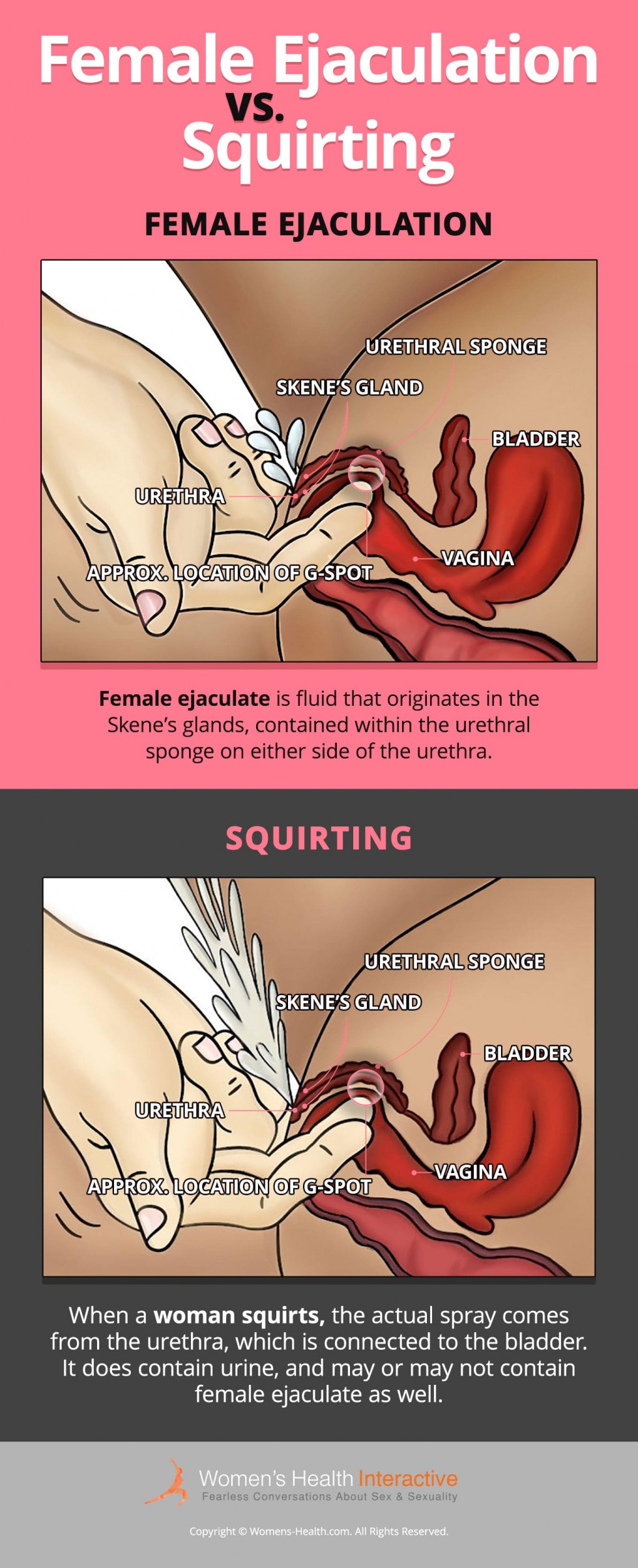 female-ejaculation-vs-squirting-infographic.jpg