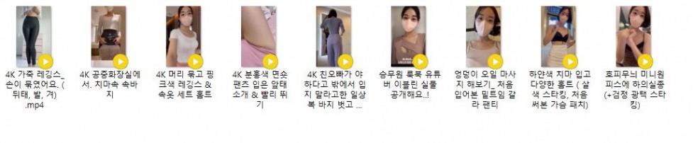 이블린 목록.JPG