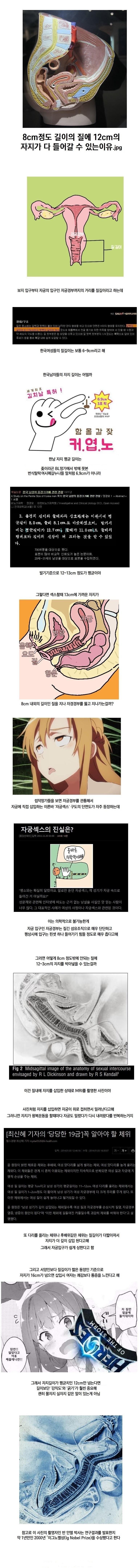 질길이.jpg