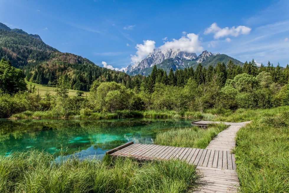 Slovenia-ZelenciNatureReserve-lake01.jpg