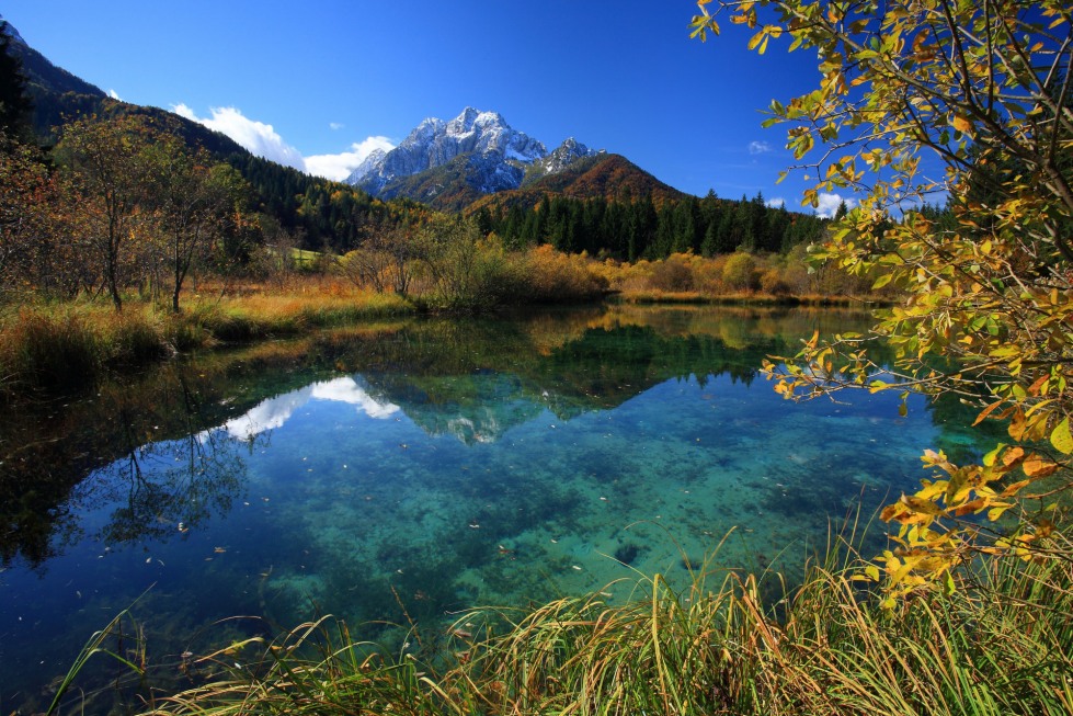 Slovenia-ZelenciNatureReserve-lake07.jpg