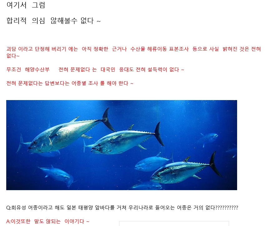 참치4.jpg