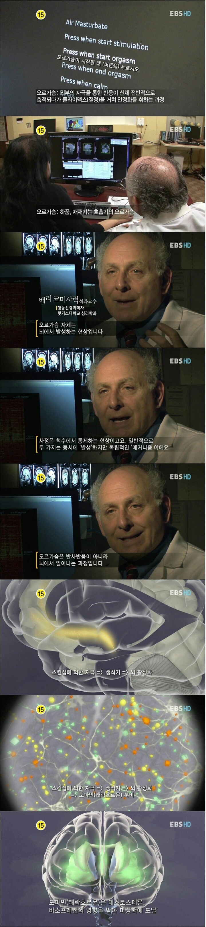 섹스에 대한 잘못된 상식3.jpg