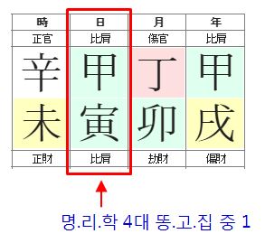 156번(갑인일주).JPG