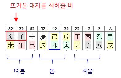 135번(대운 흐름).JPG