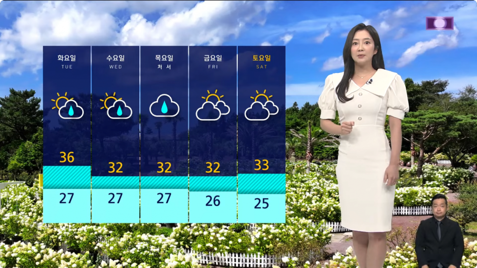 Screenshot 2024-08-19 at 06-27-51 날씨 화요일 '서울 36도' 폭염 절정…곳곳 강한 소나기 _ SBS 8뉴스 - YouTube.png