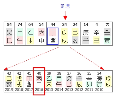 254번(09.꽃뱀).jpg