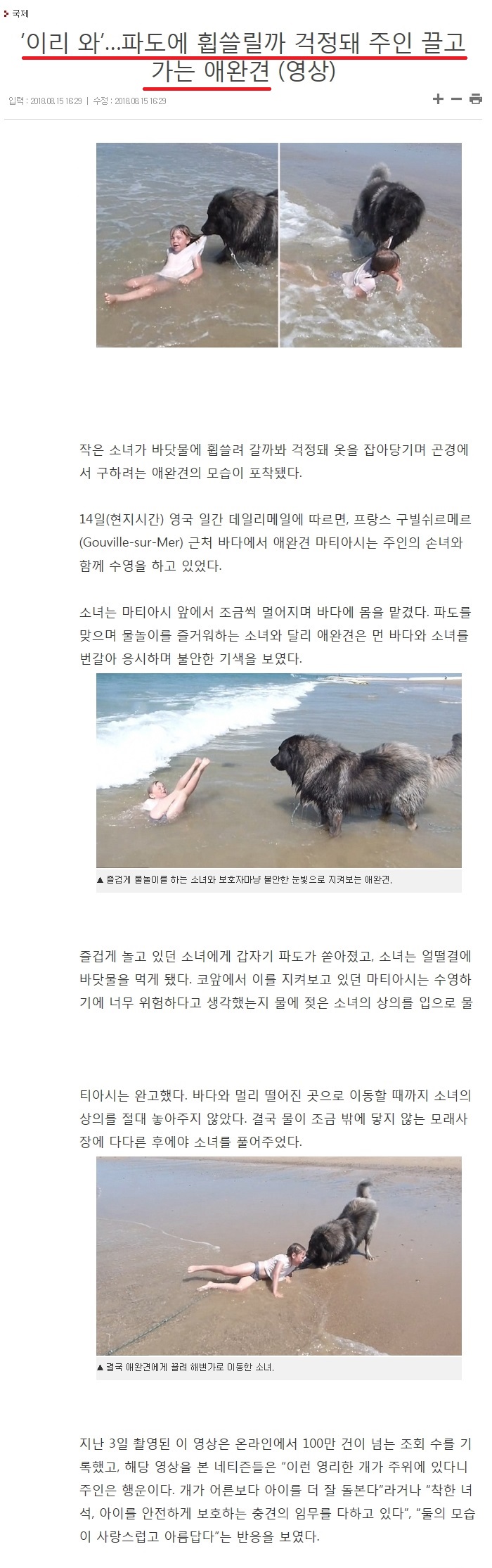 개의 두얼굴1.jpg