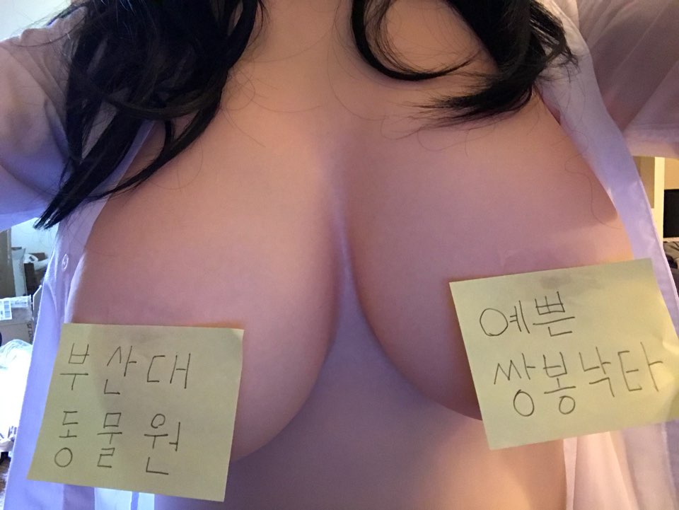 쌍봉낙타.jpg