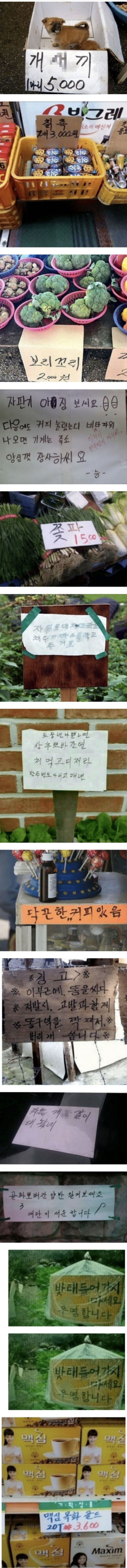 어르신.jpg